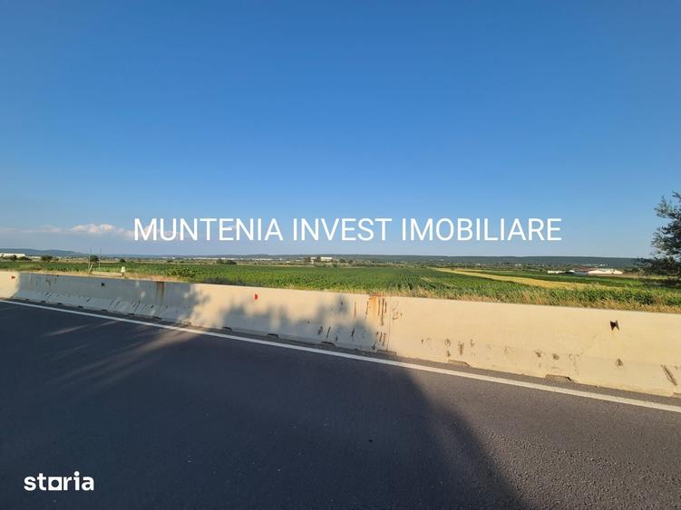 Teren 31703 mp. intravilan Purcareni, Com. Micesti - 3