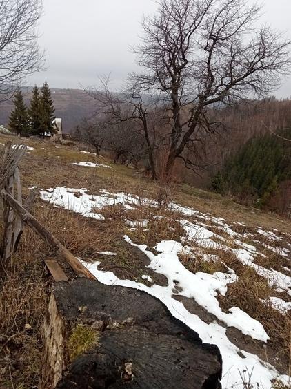 Teren în Mărișel