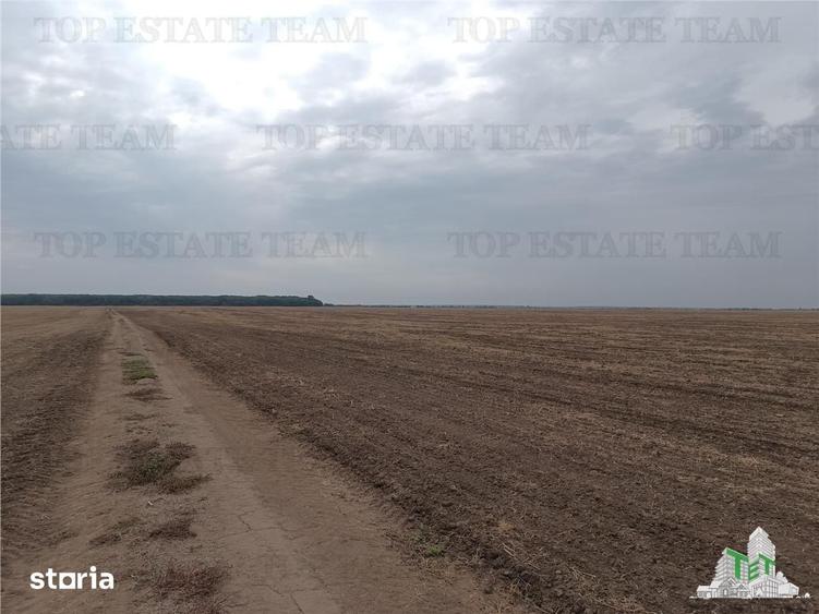Teren de 81906 mp, în Petrăchioaia