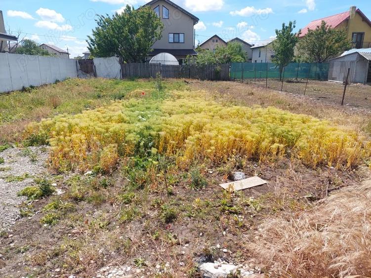 Vand 440 mp teren intravilan , cartierul Florilor, Magurele, jud. ilfov - 1