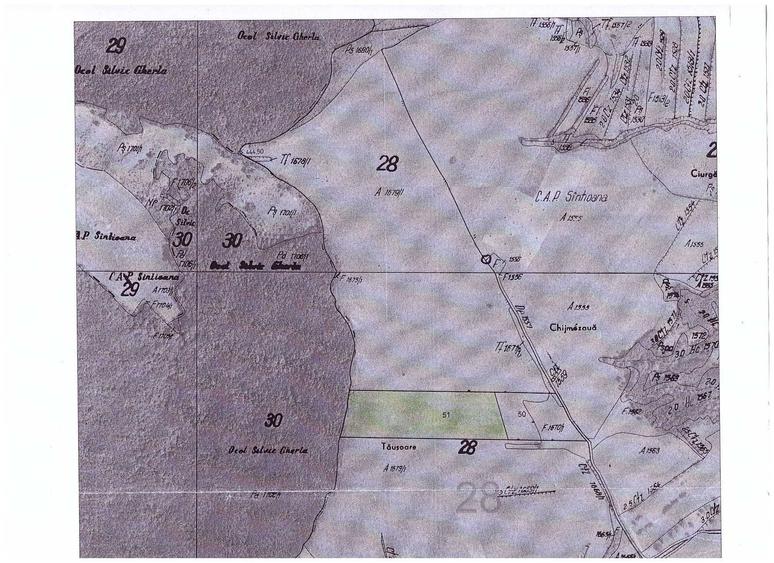 Teren de 70000 mp, în Sântejude