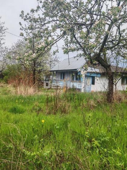 Teren de 3160 mp, în Poiana