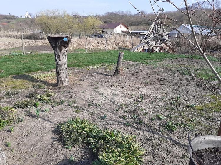 Casă cu Teren 1592 Mp în Schitu