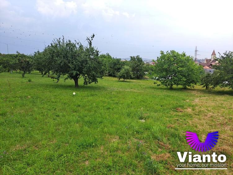 Teren Construcții intravilan de 1100 mp, în Turnișor