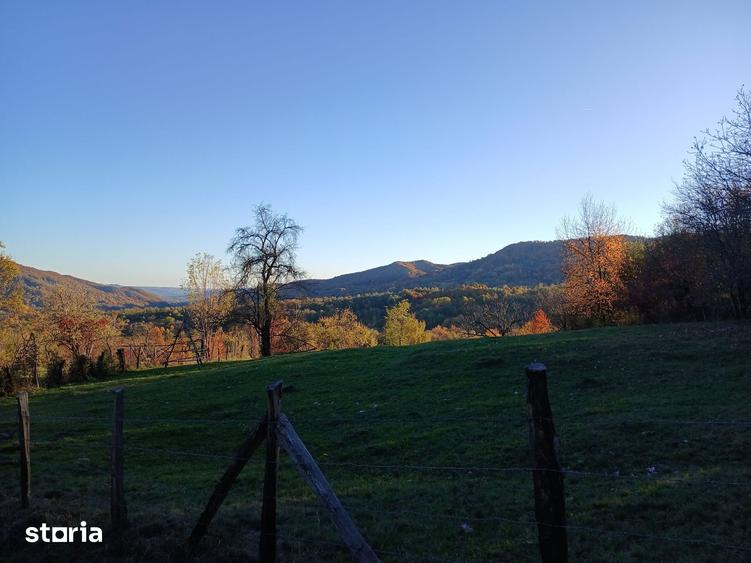 Teren intravilan de vanzare, 4377 mp, acces pavat - 1