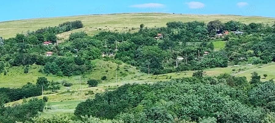 Teren de 5000 mp, în Boboci