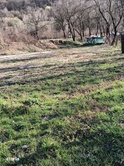 Teren de 8000 mp, în Șoimuș