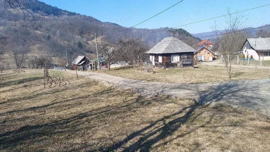 Teren de 1600 mp, în Vișeu de Mijloc