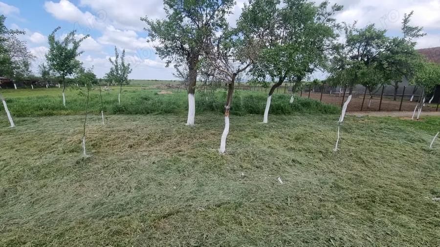 Teren de 1680 mp, în Aluniș