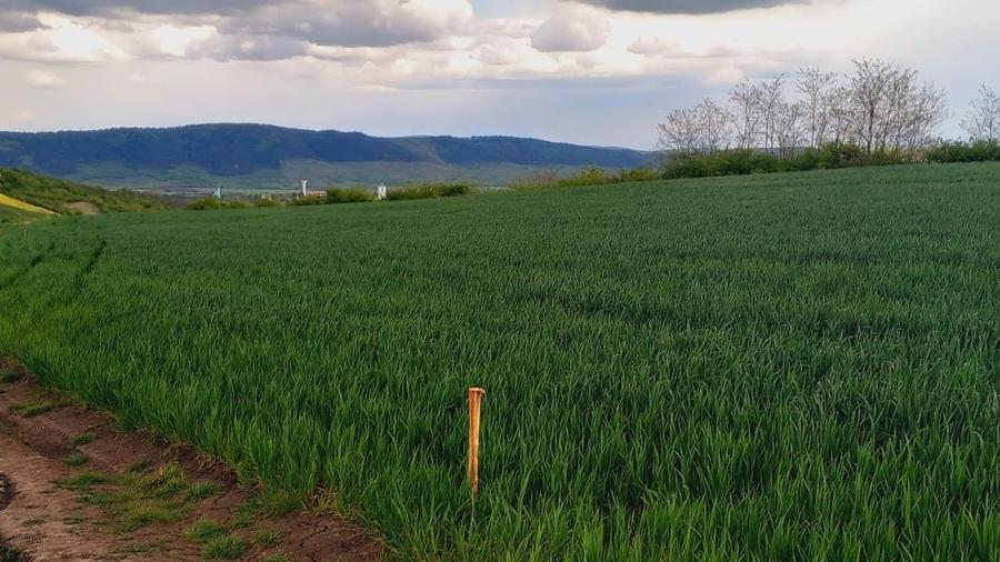 Teren de 45000 mp, în Fundătura