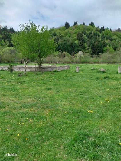 Teren de 13300 mp, în Săcuieu