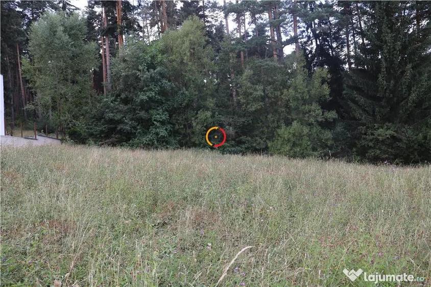 Teren de 1195 mp, în Poiana Angelescu
