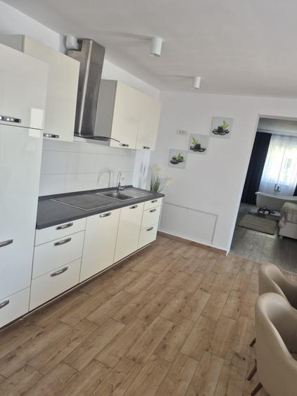 Apartament 2 camere de inchiriat - 7