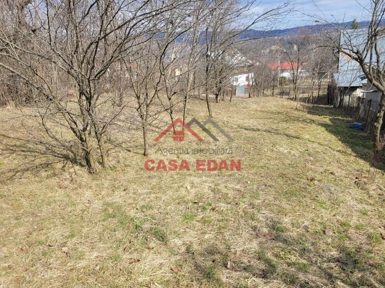 Casă cu Teren 3676 Mp în Poiana