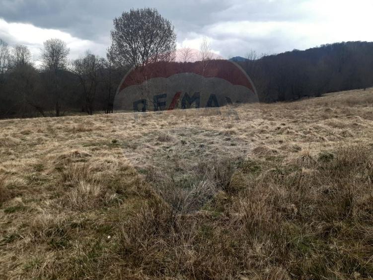 Teren agricol extravilan de 7153 mp, în Sud