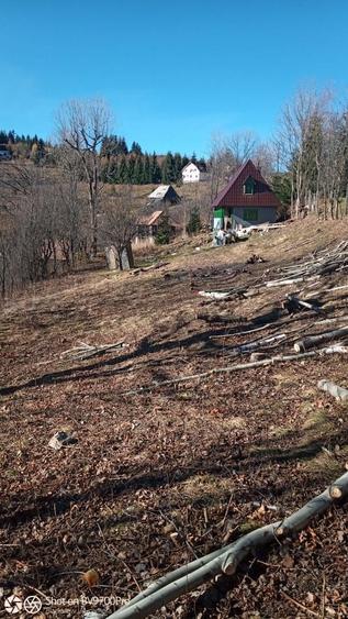 Casă cu 2 camere în Muntele Băișorii