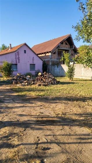 Casă cu 3 camere cu Teren 3066 Mp în Livada de Bihor