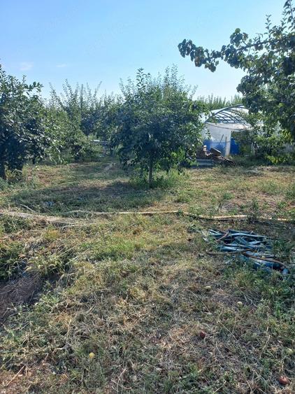 Casă cu Teren 2894 Mp în Segarcea-Vale