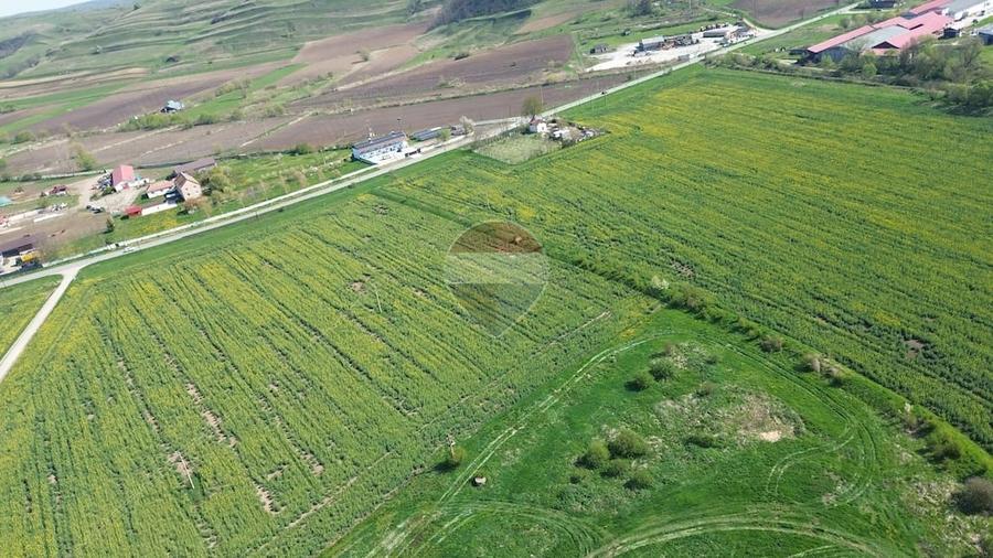 Teren de 192016 mp, în Coveș