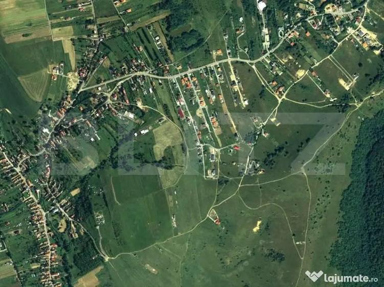Teren de 6000 mp, în Sălicea
