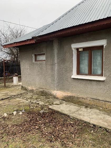 Casă cu 4 camere cu Teren 1941 Mp în Drăgoești