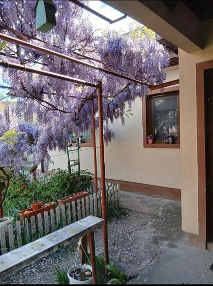 Casa de vanzare in apropiere de Bucure?ti - 4
