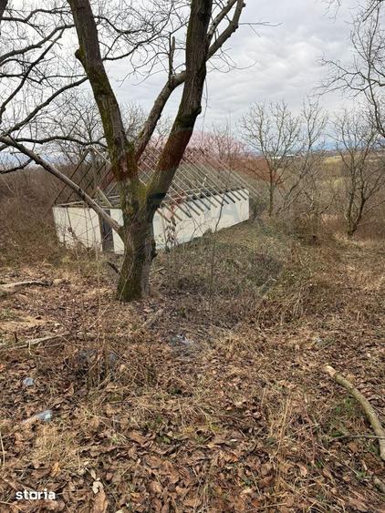 Teren de 2900 mp, în Tăuții-Măgherăuș