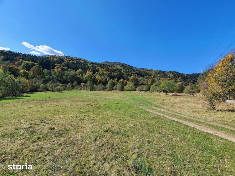 Teren de 18800 mp, în Brădet