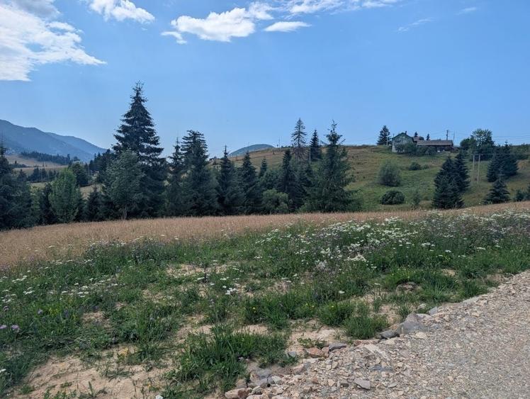 Spațiu comercial, în Piatra