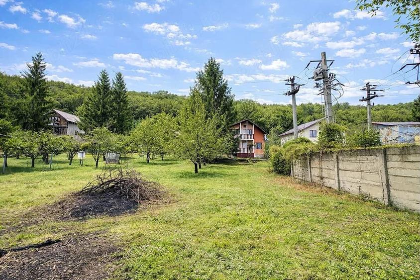 Casă cu 3 camere cu Teren 1900 Mp în Central