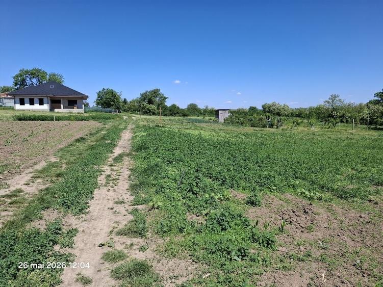 Teren de 1500 mp, în Trușești