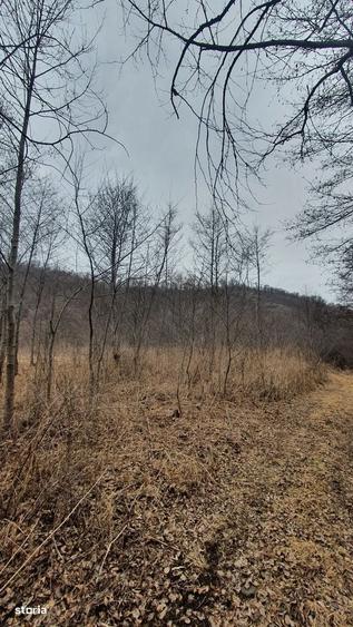 Teren de 2800 mp, în Sovata
