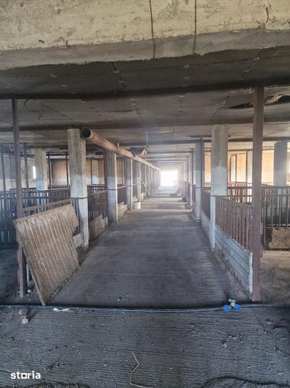 Spațiu comercial, de 11,600 mp, în Vlad Țepeș
