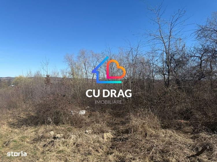 Spațiu comercial, în Sibiel