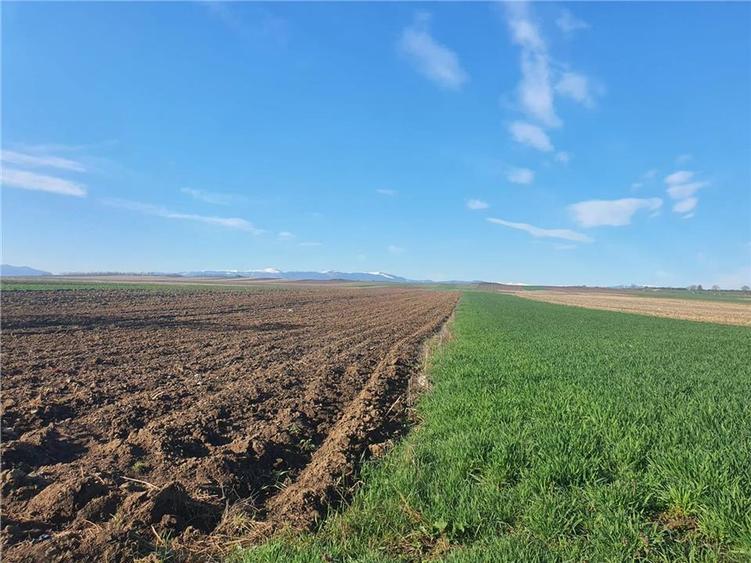 Teren extravilan 4.500- max.18.300mp in comuna Rosia (17 km de Sibiu) - 8