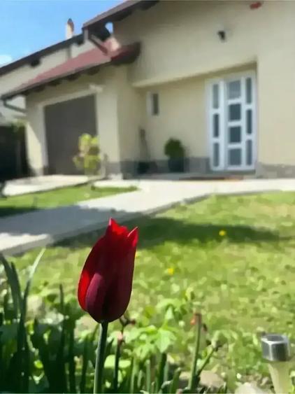 Casă cu 2 camere cu Teren 374 Mp în Central
