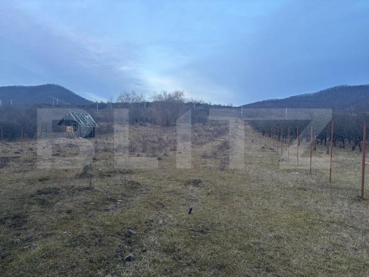 Casă individuală cu 5 camere cu Canalizare în Sud-Vest