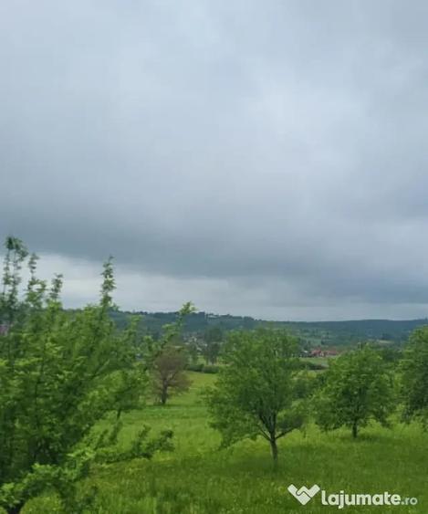 Casă cu 3 camere cu Teren 700 Mp în Dumbrăvița