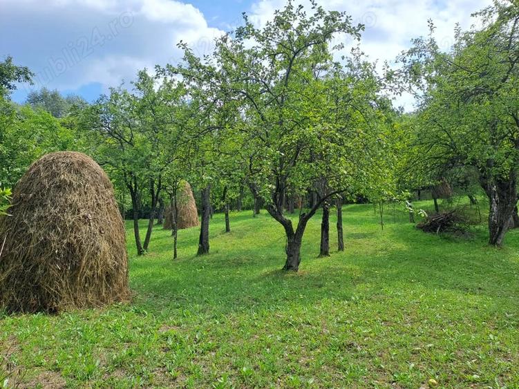 Teren în Șotrile