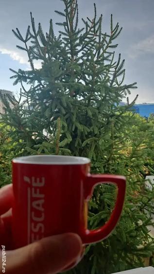 Apartament cu 2 camere semidecomandat în Tipografilor
