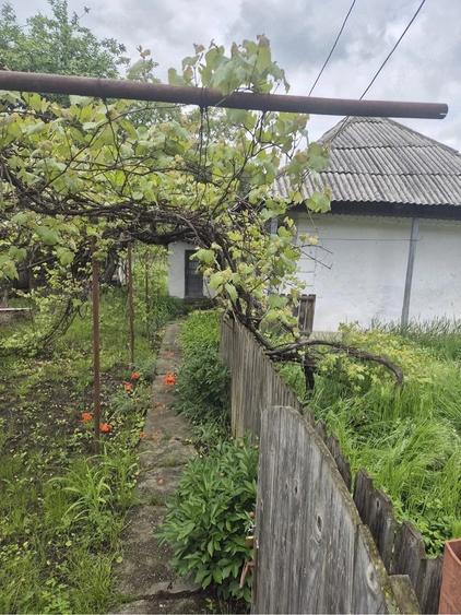 Casă cu 3 camere cu Teren 1000 Mp în Costișa