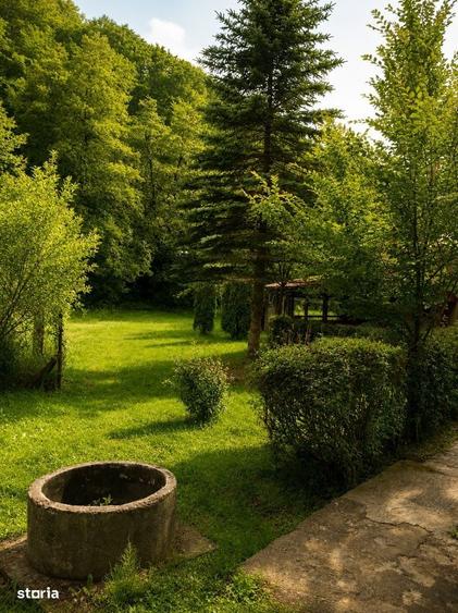 Casa de vacanta in Campu Cetatii,teren 2.400 mp, langa rau si padure - 14