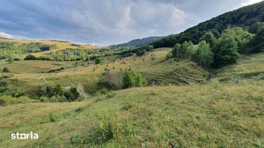 Teren de 13203 mp, în Sălciua