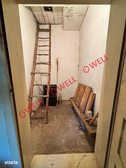 Casă cu Teren 8000 Mp în Cernat