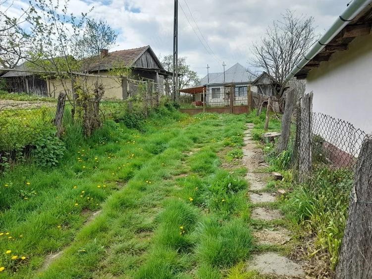 Casă cu Teren 3096 Mp în Boianu Mare