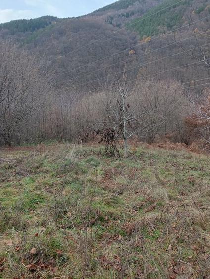 Teren de 9100 mp, în Râu de Mori