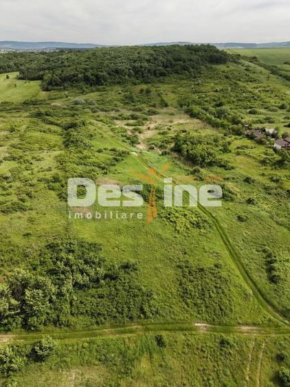 Teren agricol extravilan de 7172 mp, în Valea Ursului