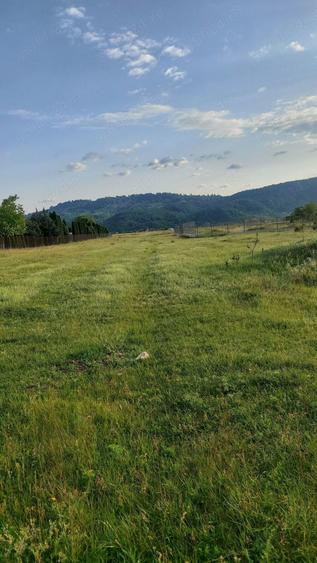 Teren de 350 mp, în Dumbrava