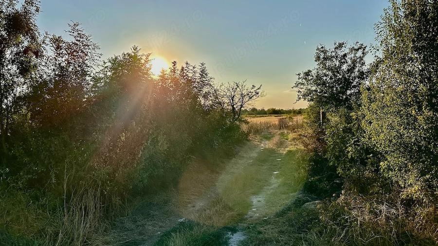 Teren de 6700 mp, în Olteni (Uliești)