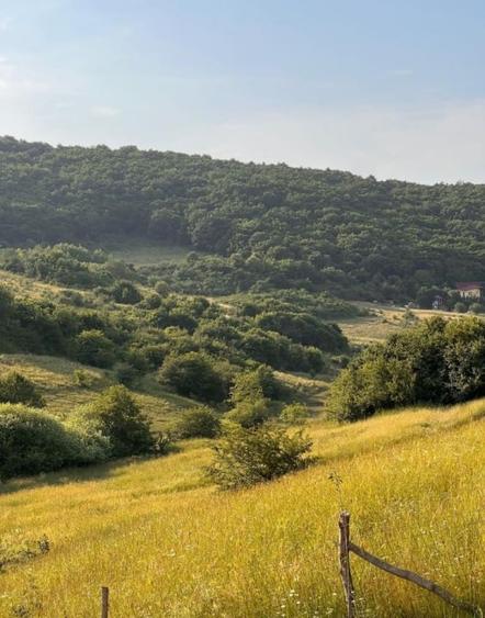 Teren Construcții intravilan de 4000 mp, în Florești